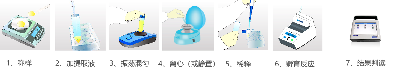 玉米赤霉烯酮快速定量檢測試紙條