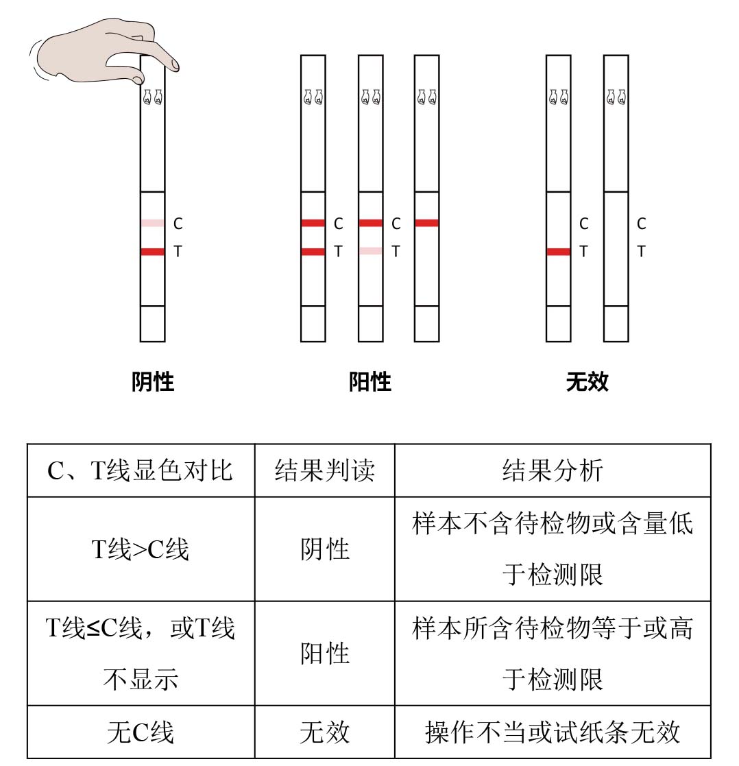 美洛昔康快速檢測試紙條